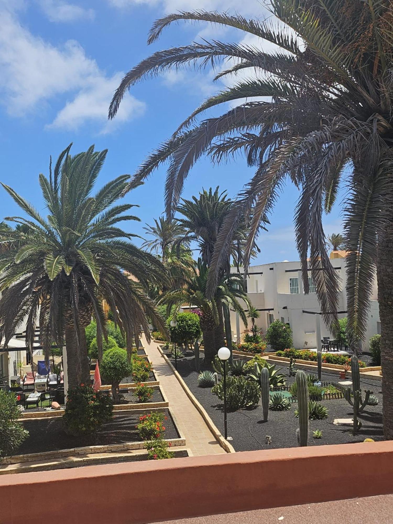 New Alisios Playa Apartamento Corralejo Exterior foto