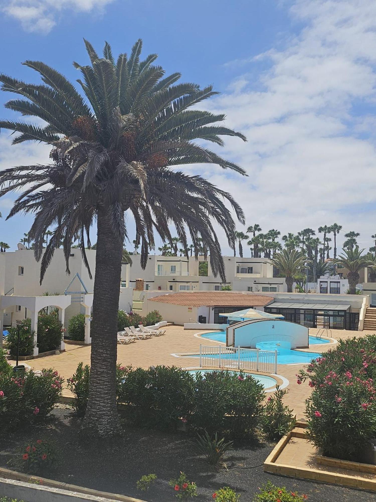 New Alisios Playa Apartamento Corralejo Exterior foto